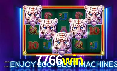 7766win